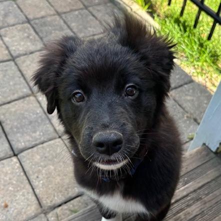 Murphy