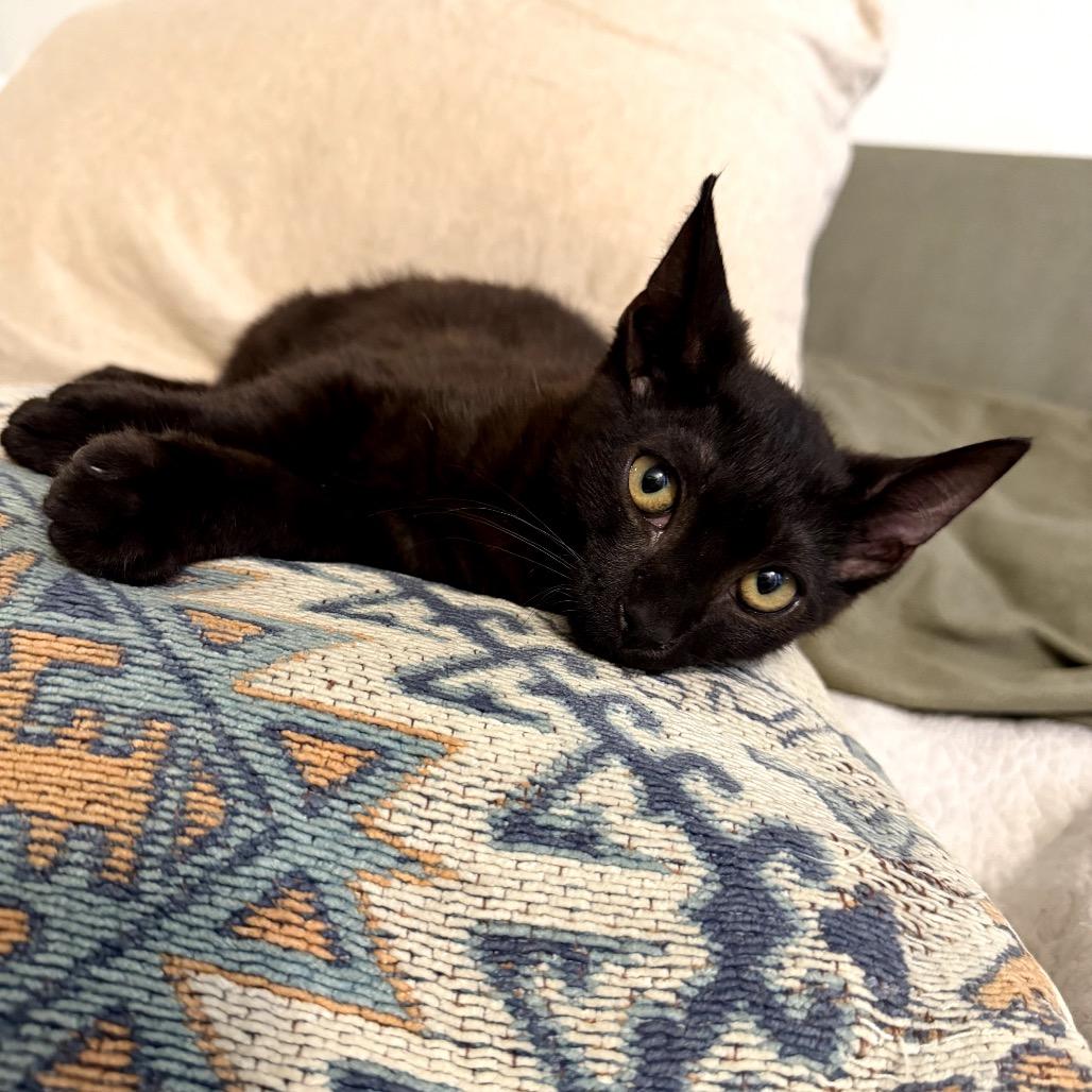 Benny