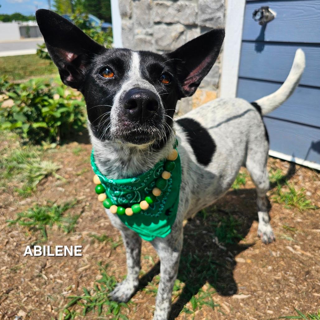 Abilene