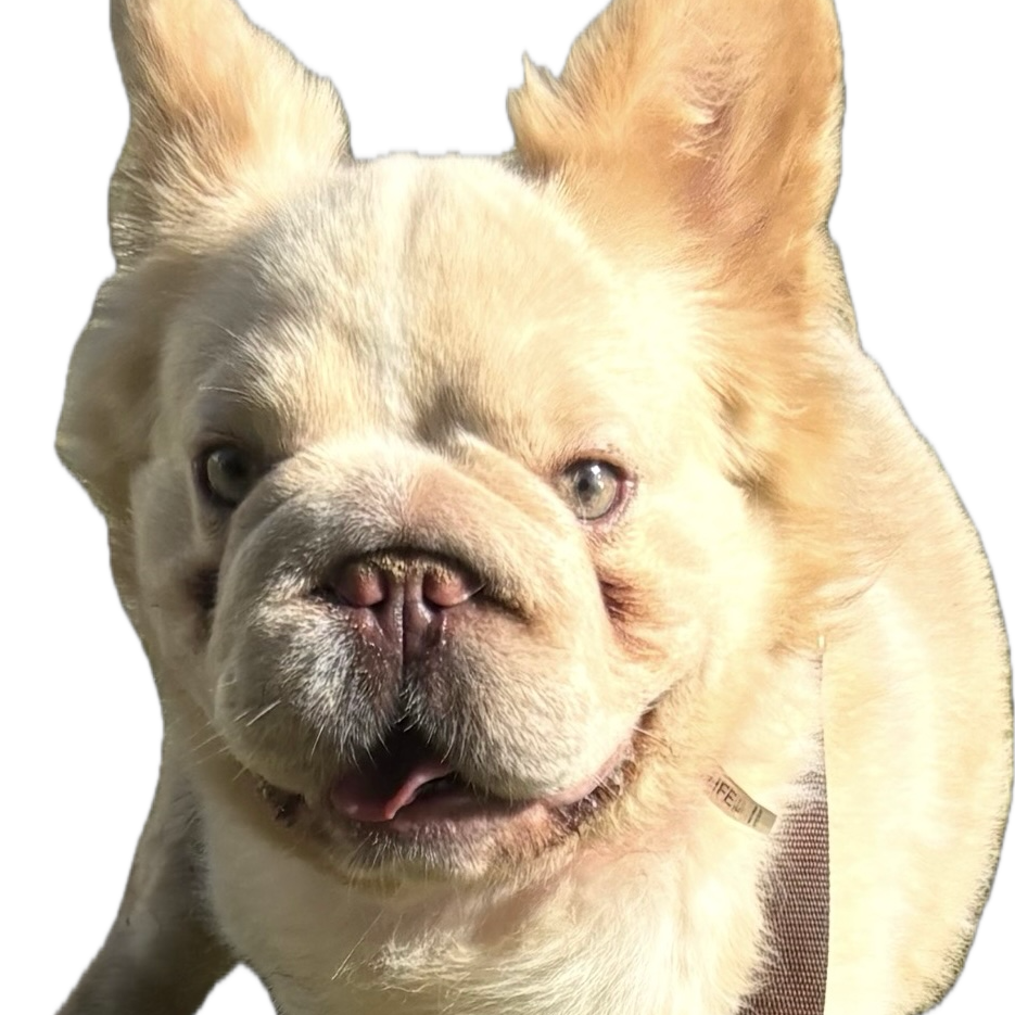Sam