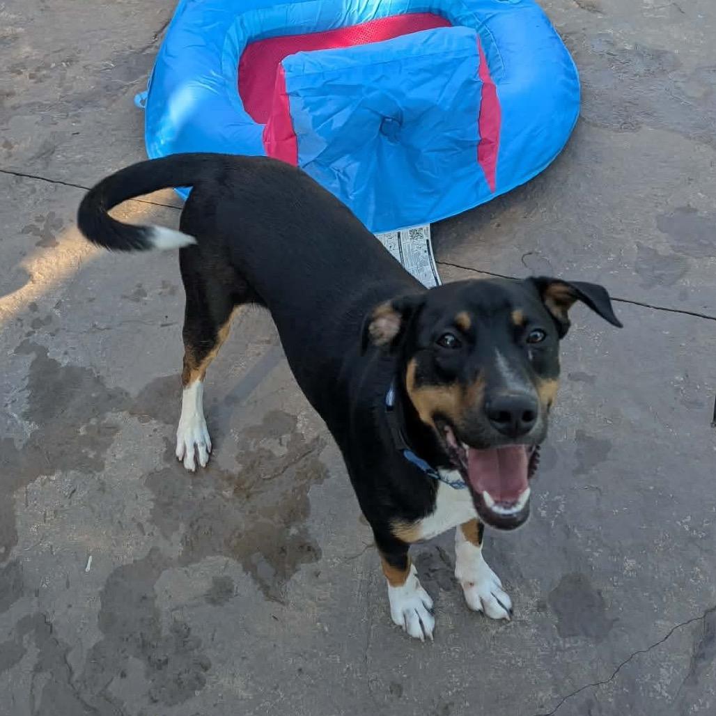 Max