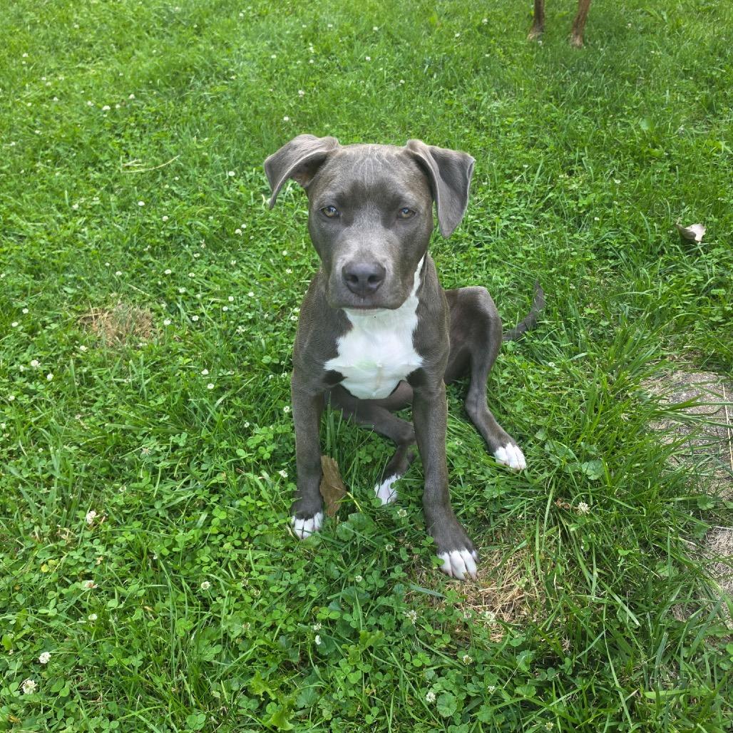 Titan (aka Garbanzo)