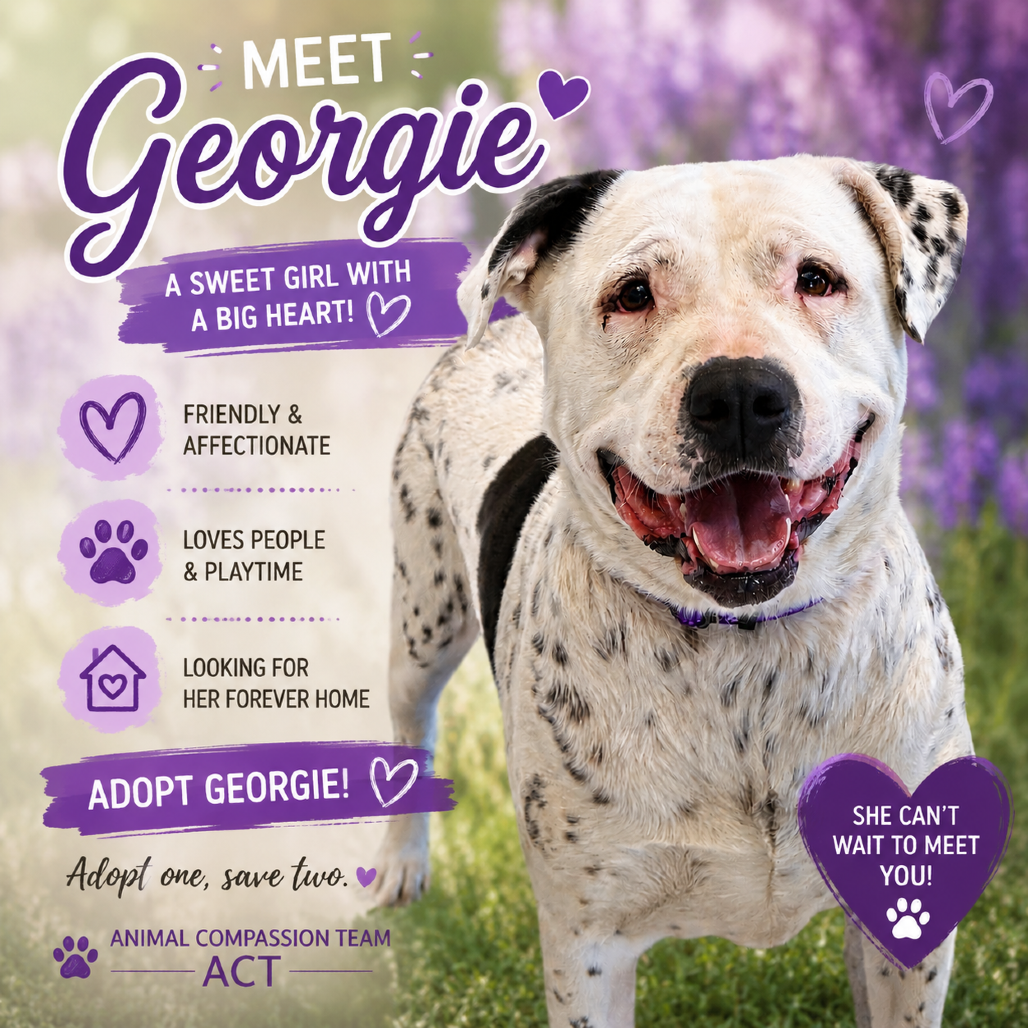 Georgie