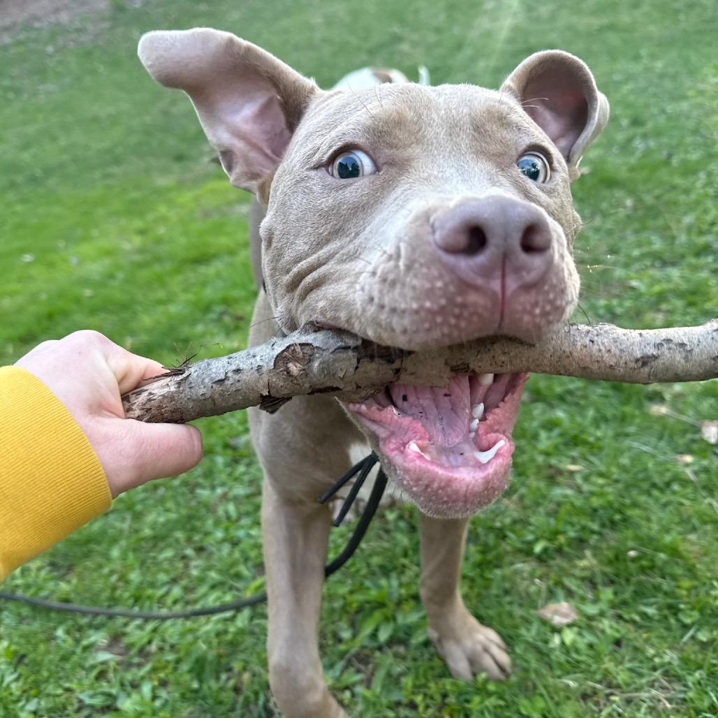 Churro
