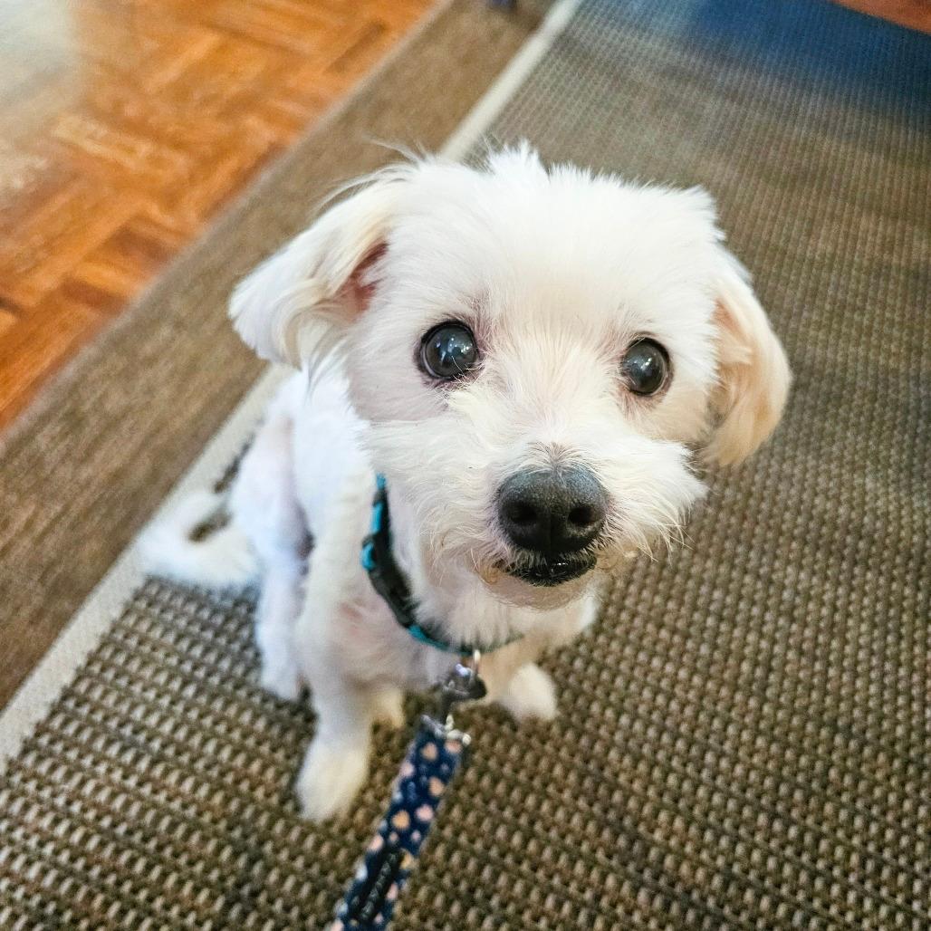 Charlie