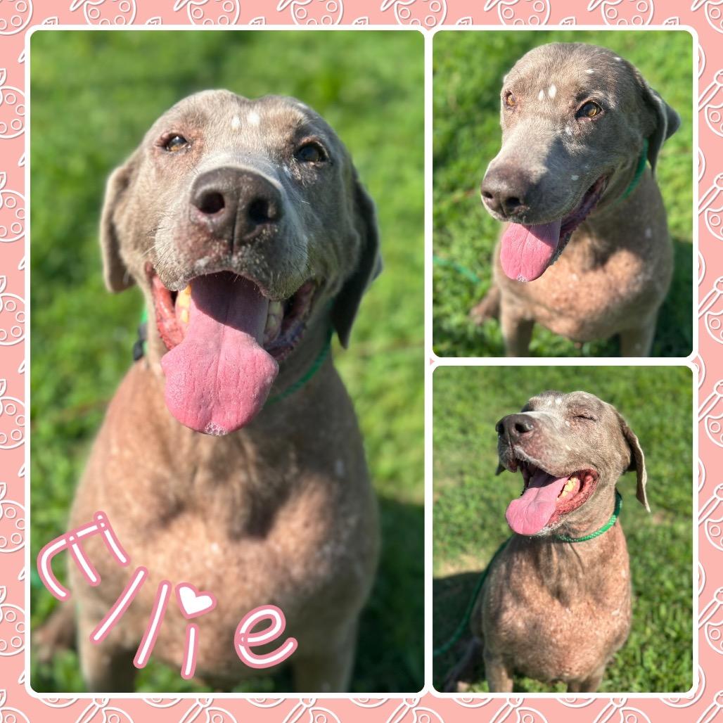 Ellie