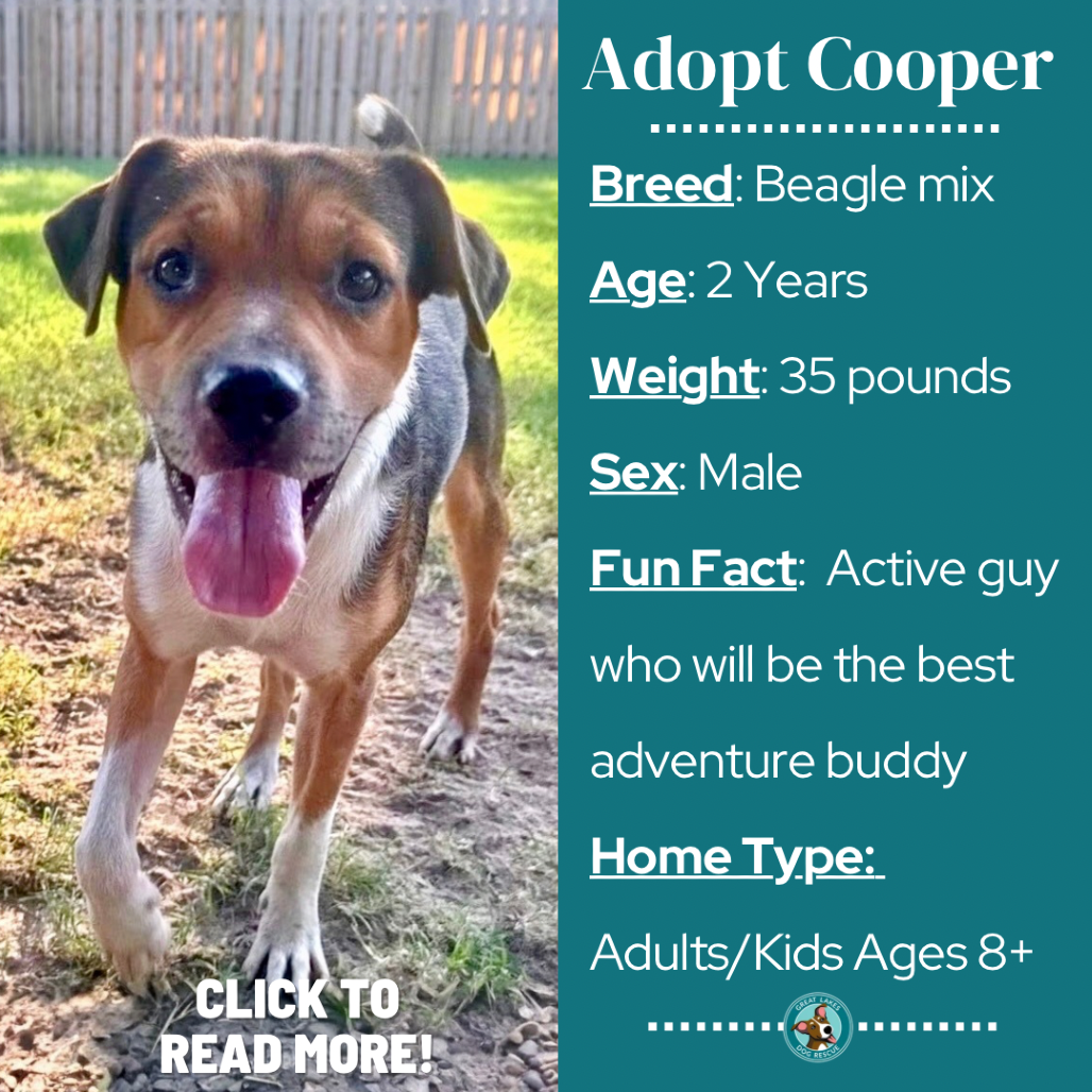 Cooper