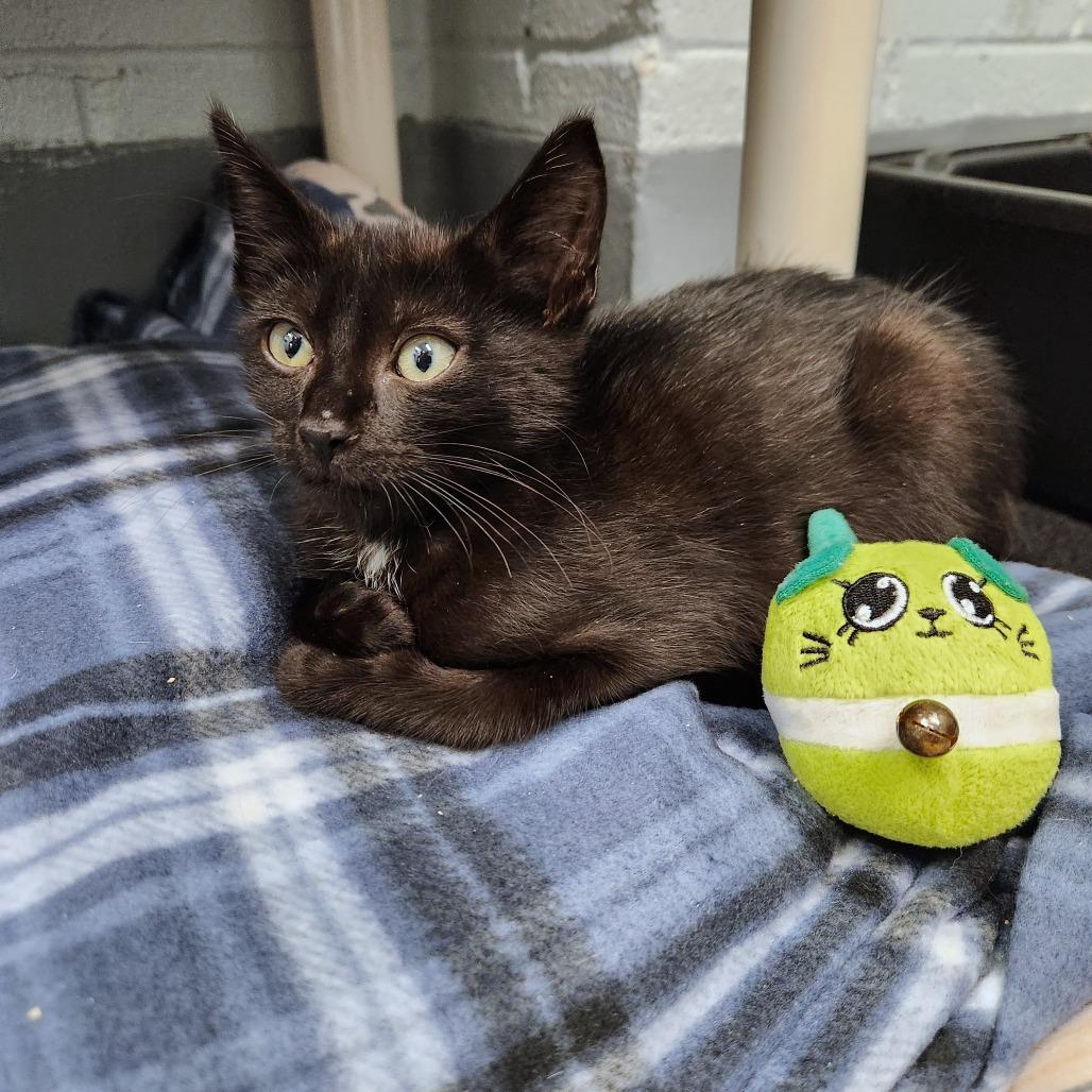 Val