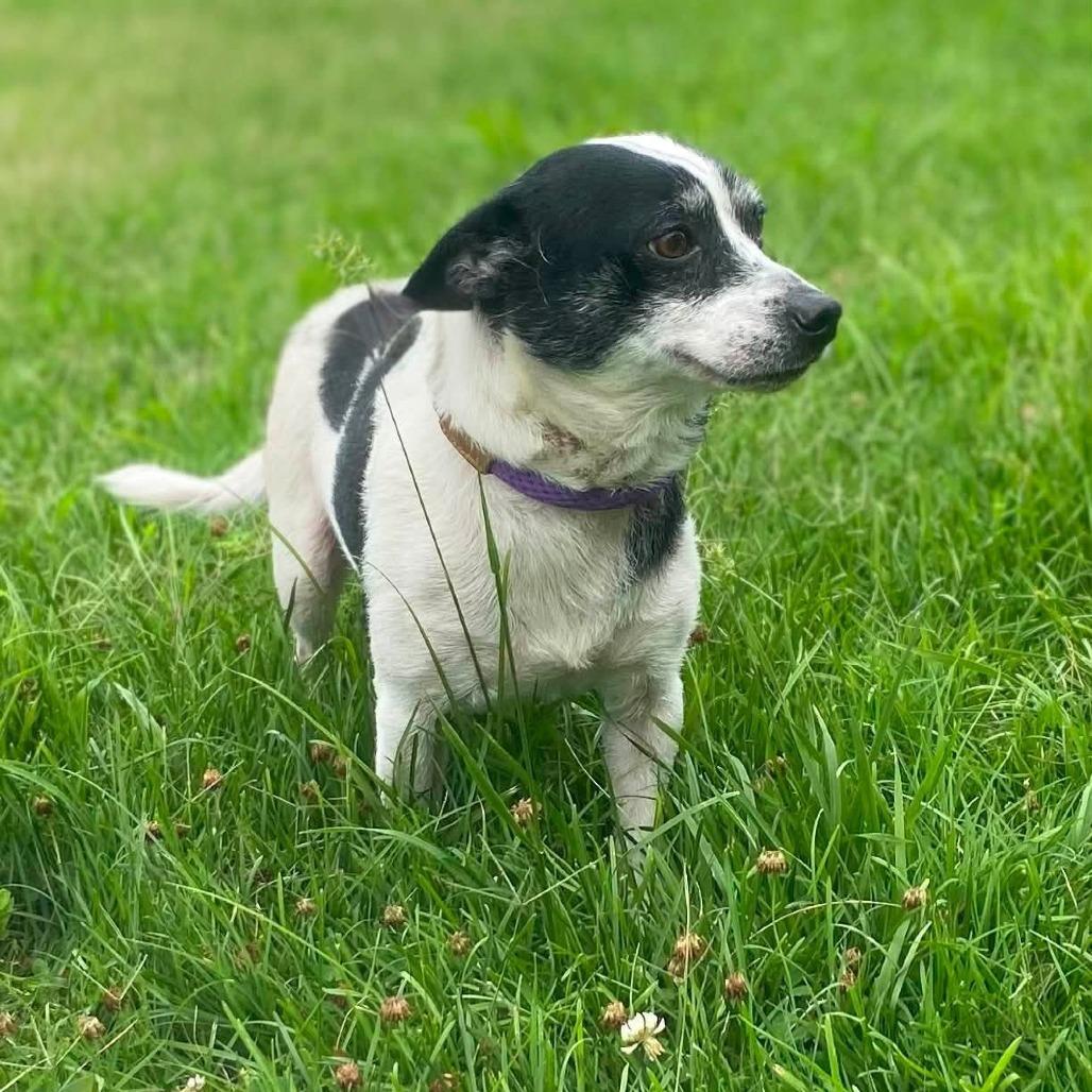 Roscoe