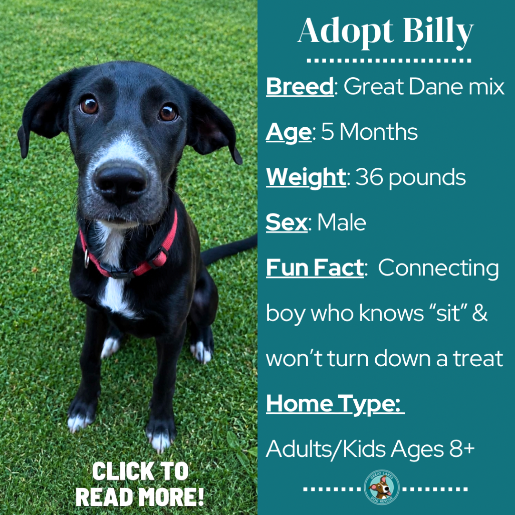 Billy
