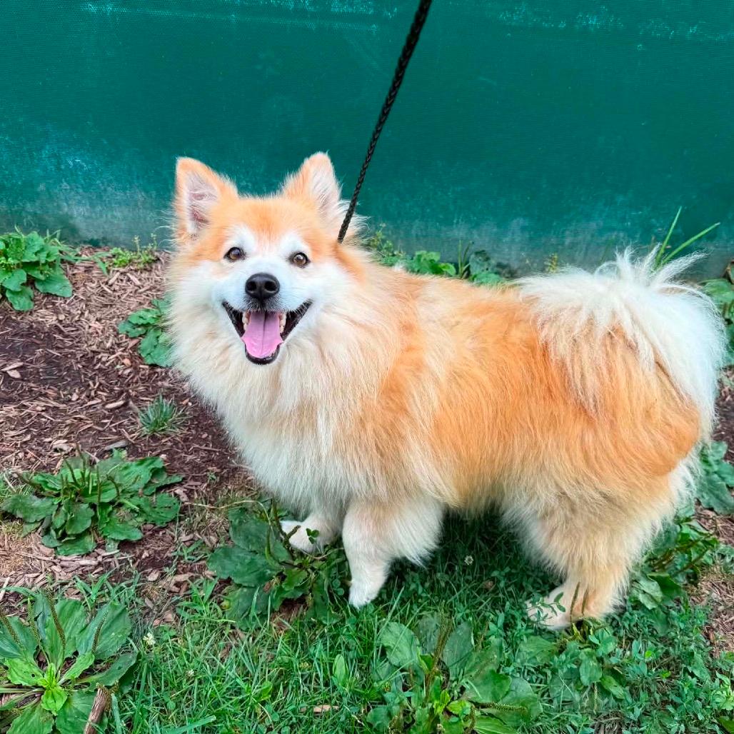 Archie