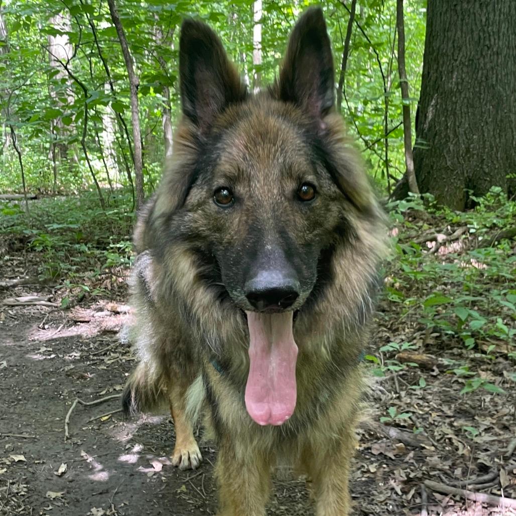 Frieda