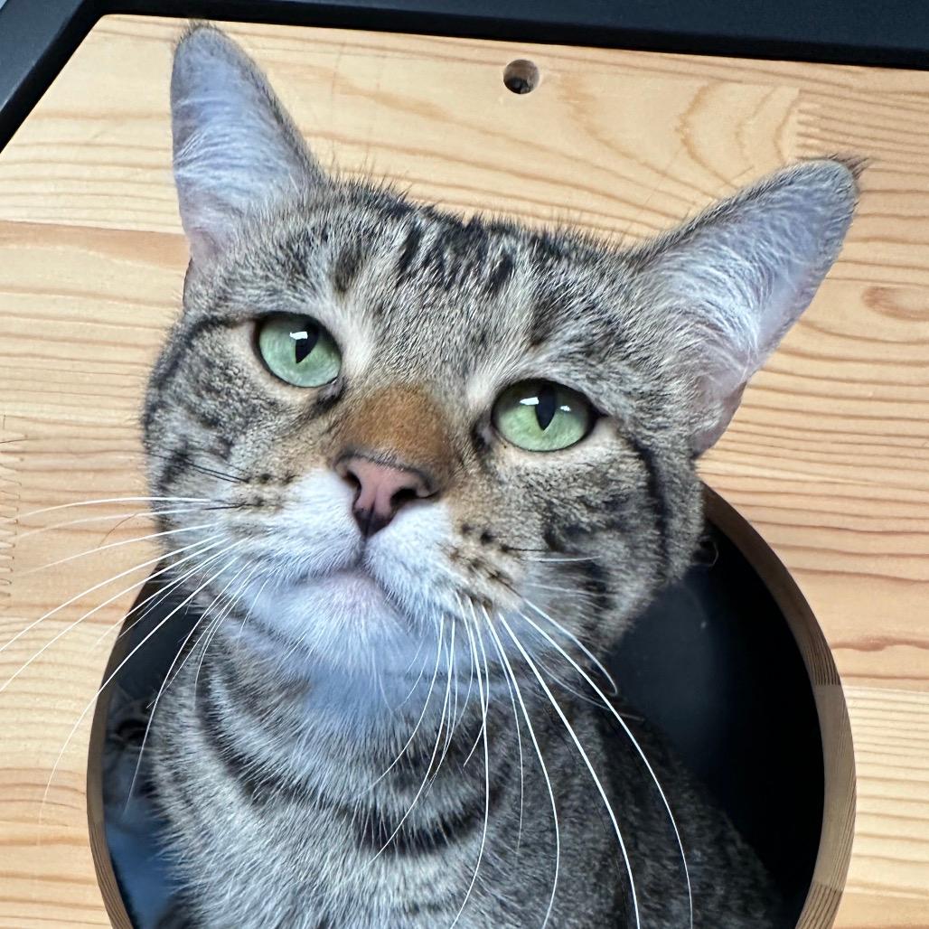 Milo