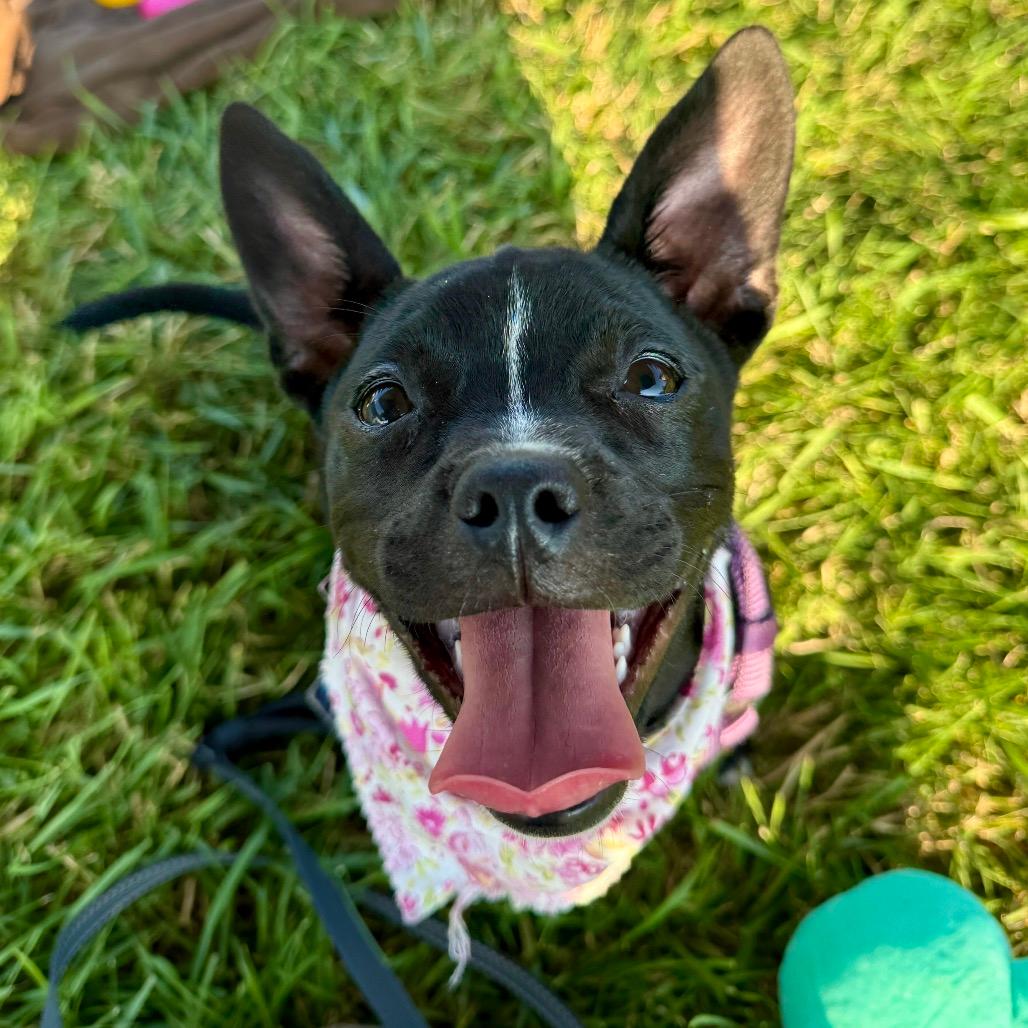 Bonnie