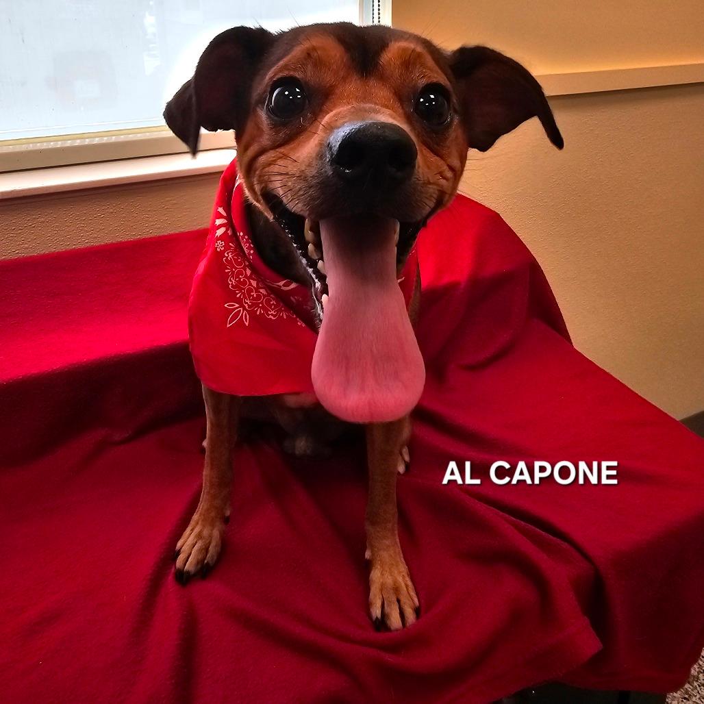 Al Capone