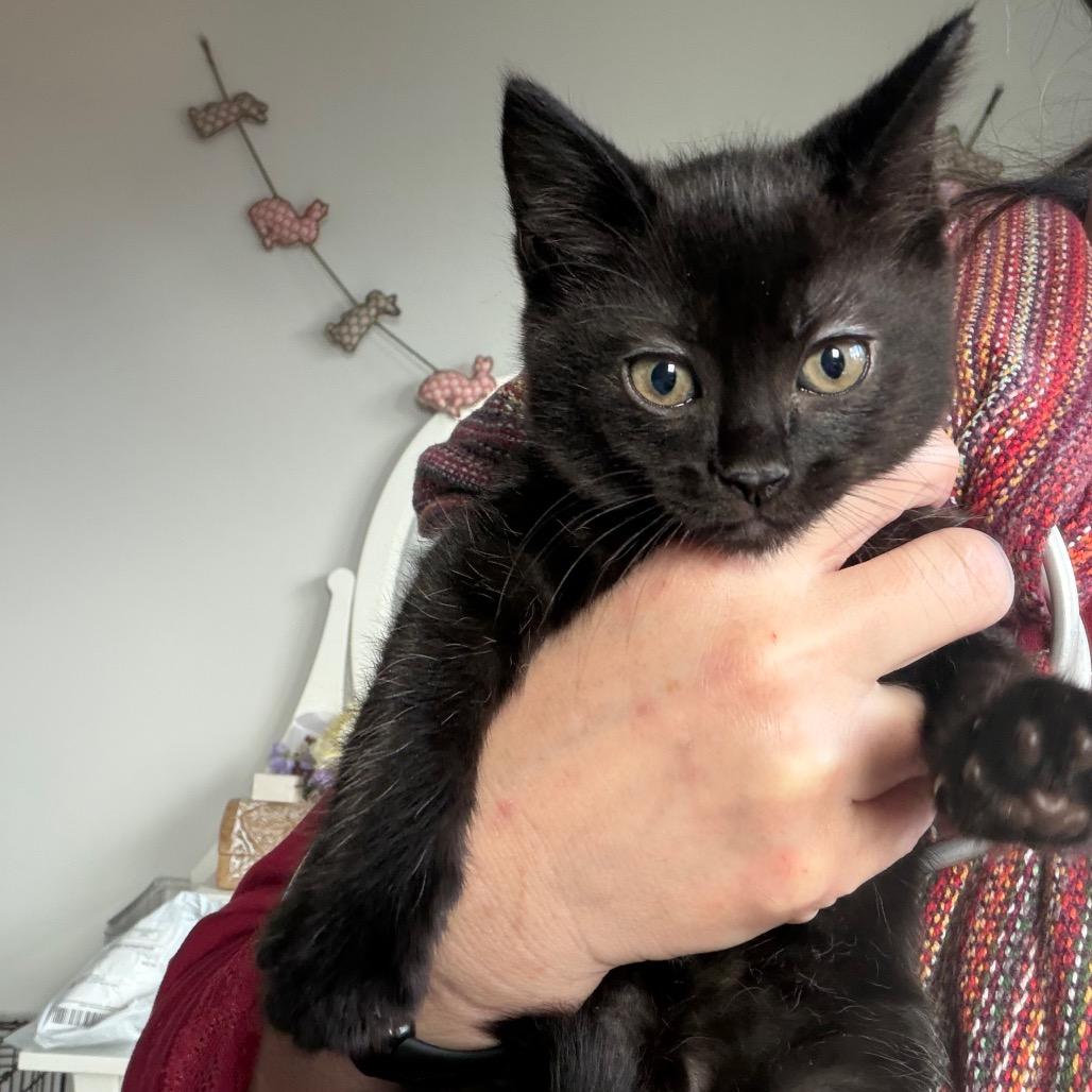 Salem