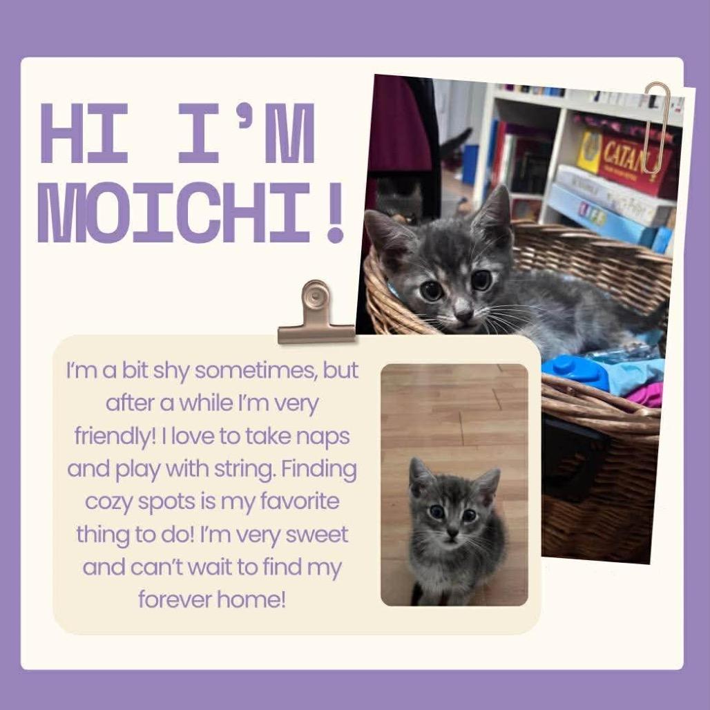 Mochi