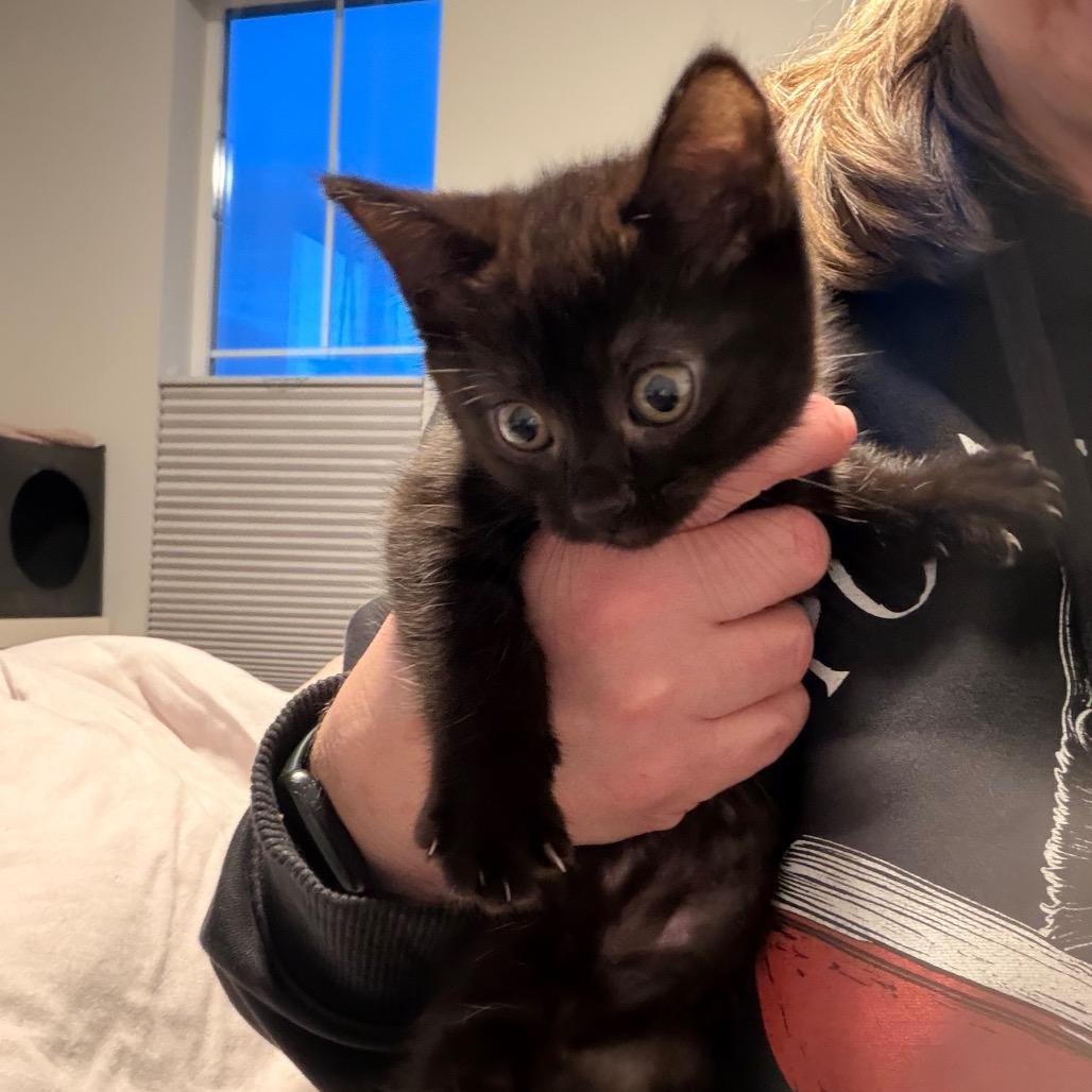 Luna