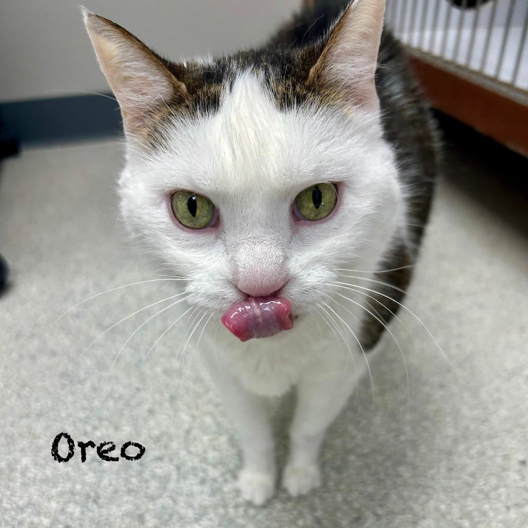 OREO