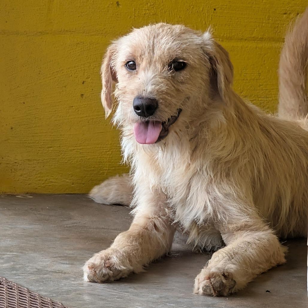 (Med Foster) Maxine