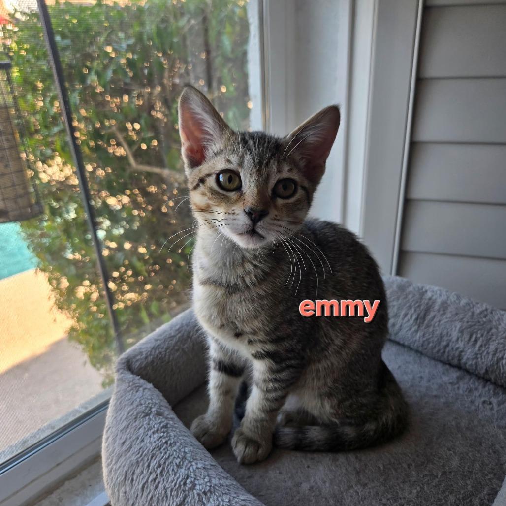 Emilia (Emmy)