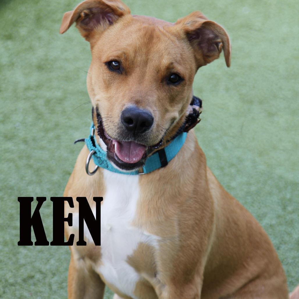 Ken