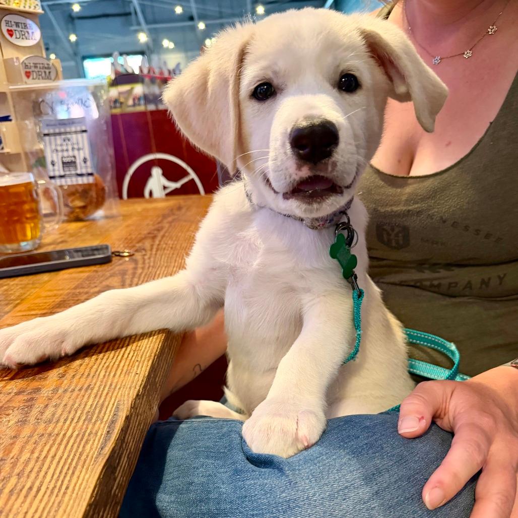Zeke