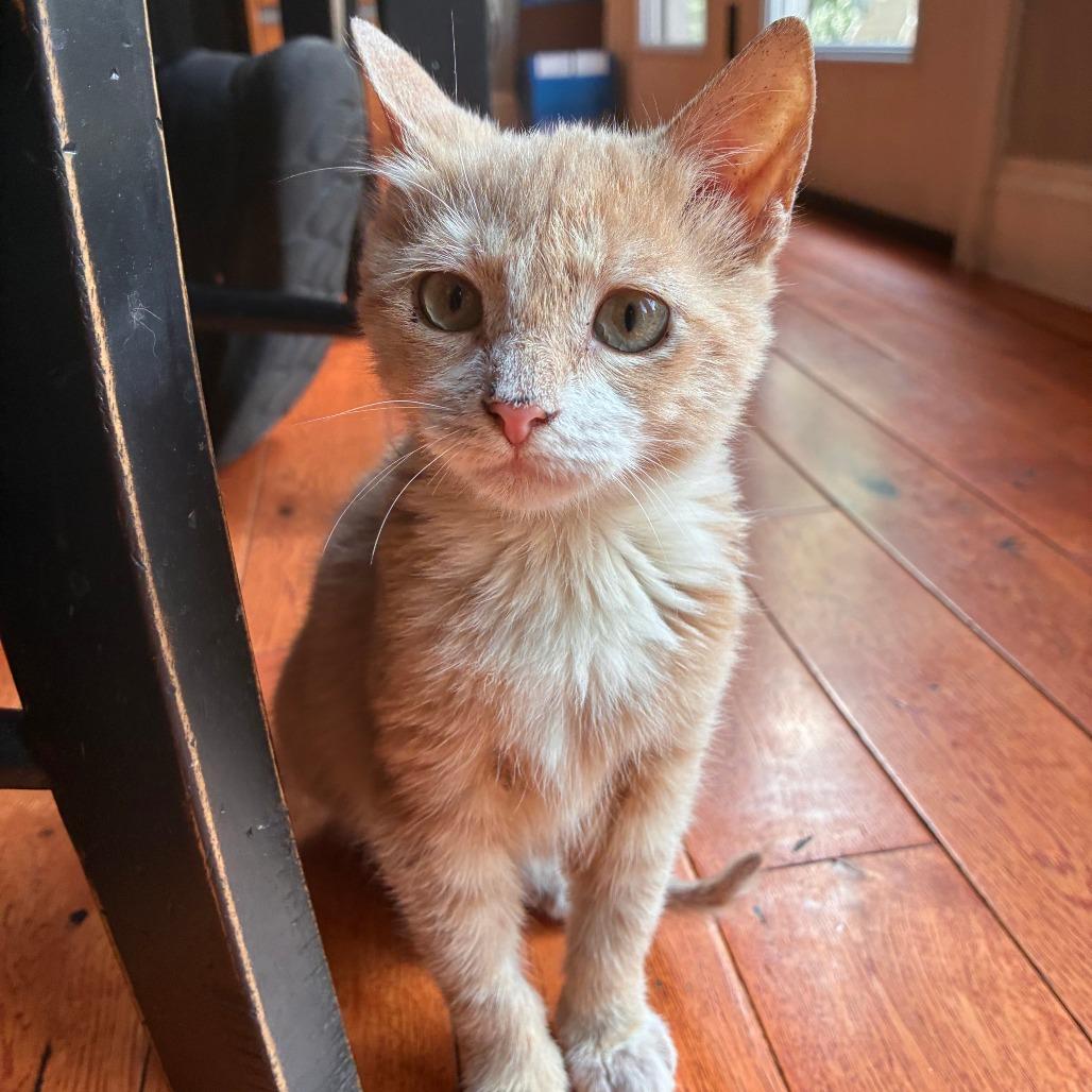 Winnie