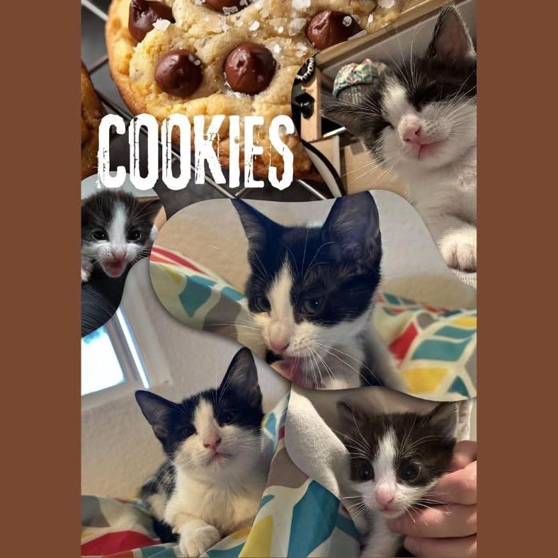 Cookies