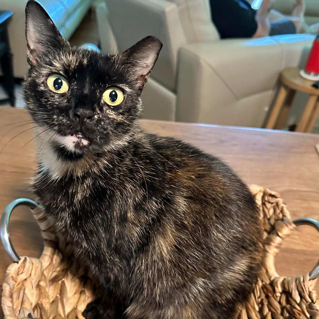 KiKi
