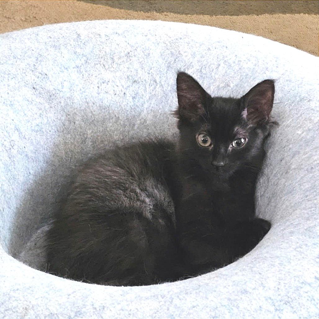 Mrs. Beasley