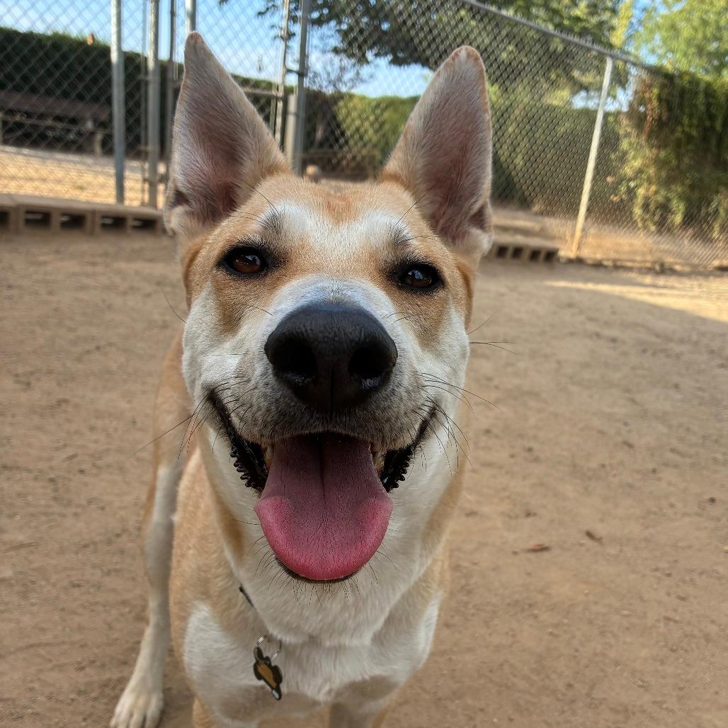 Element