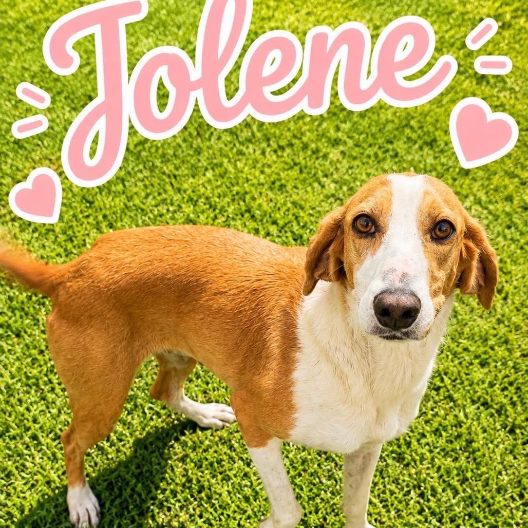 Jolene