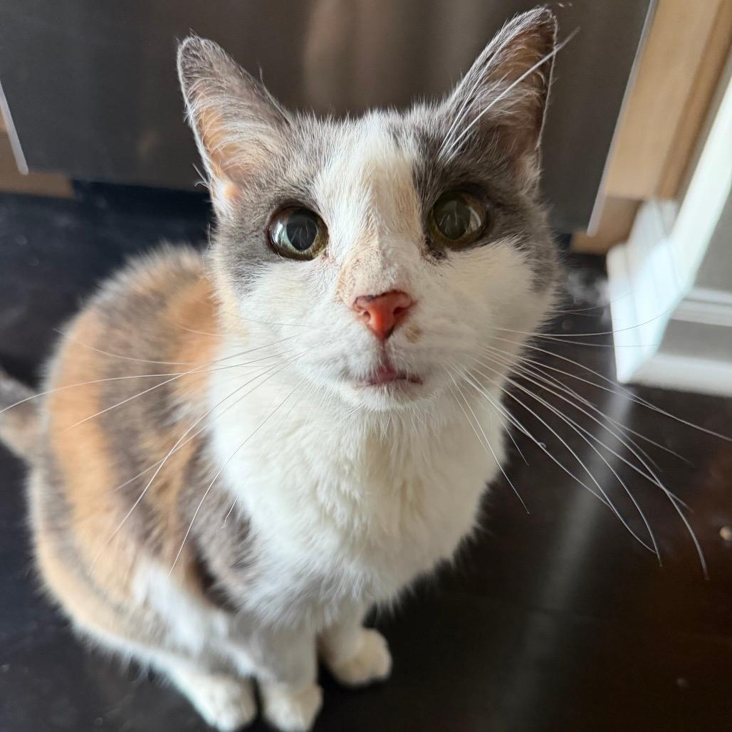 Barbara