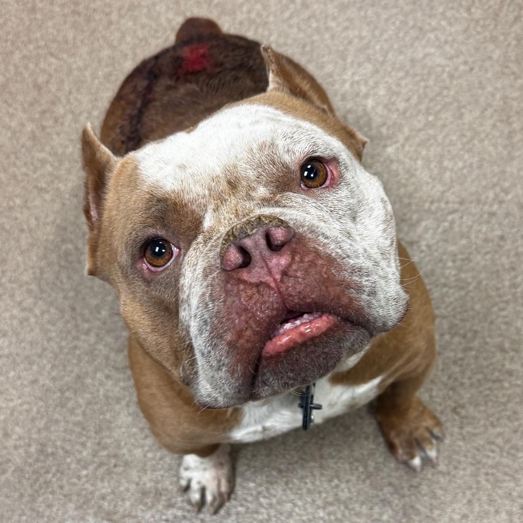 Capt’n Wrinkles