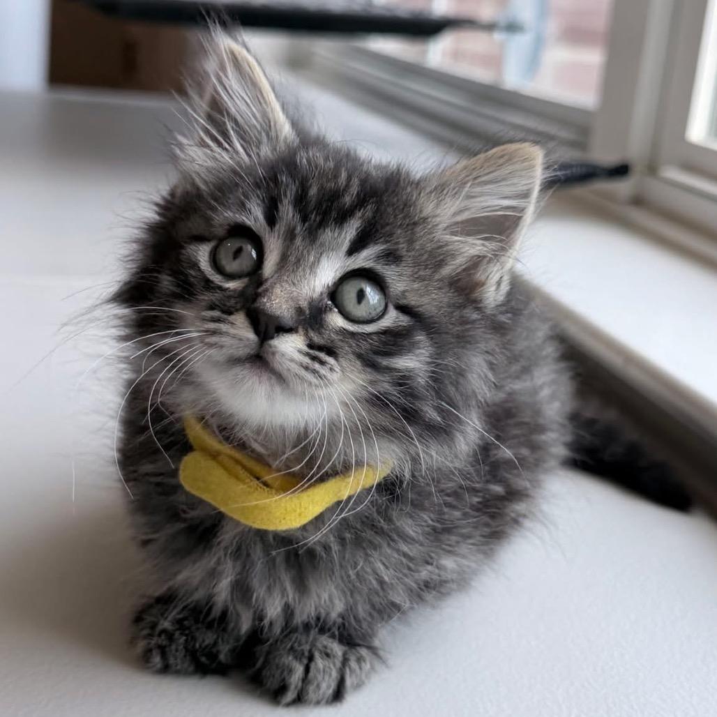 Rory 
