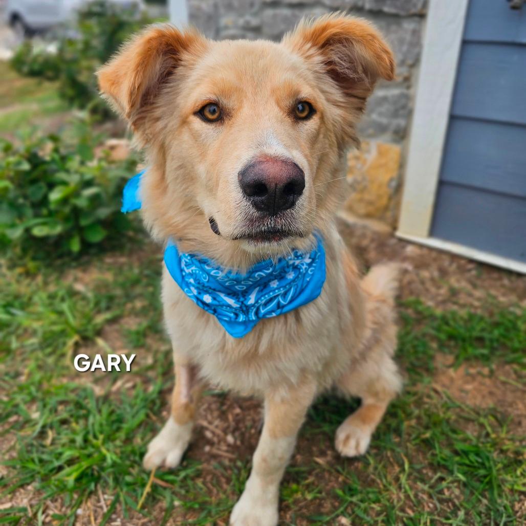 Gary Stewart