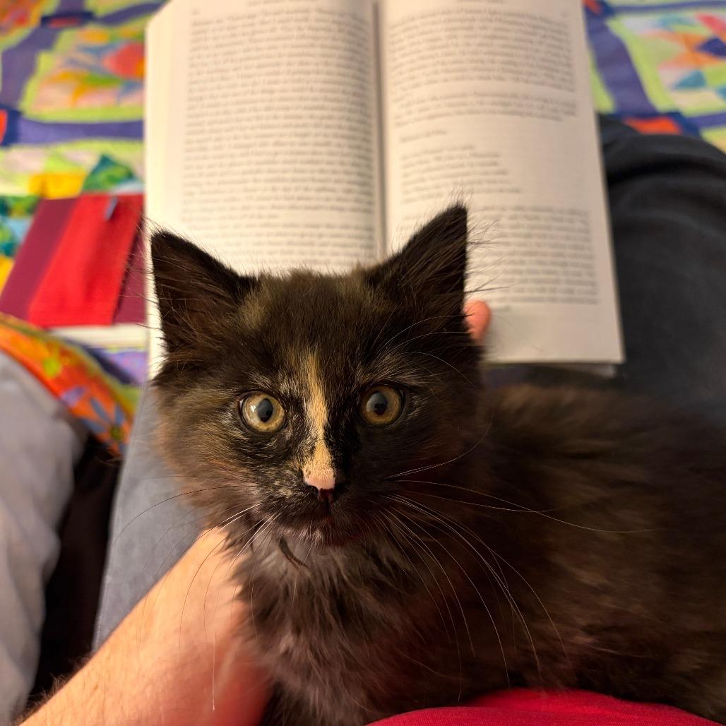 Chai-In Foster