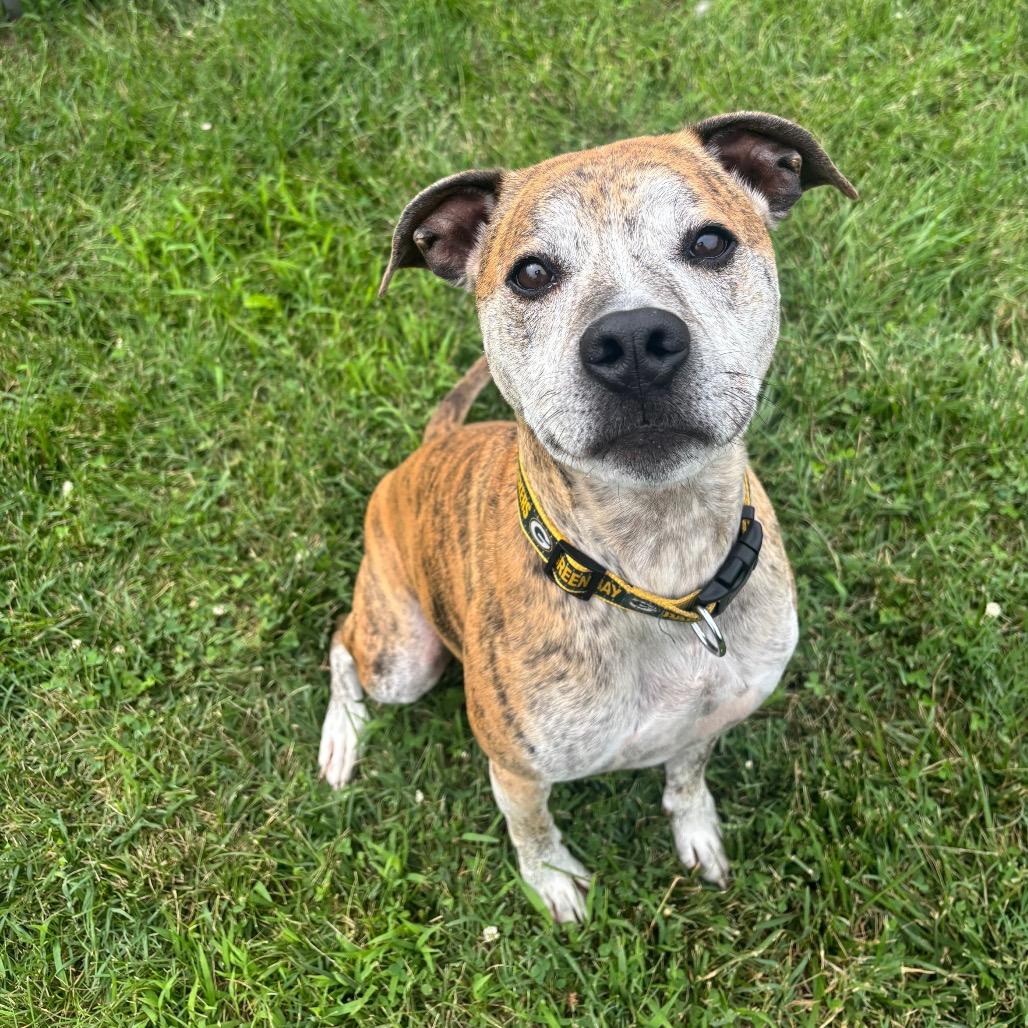 Dozer