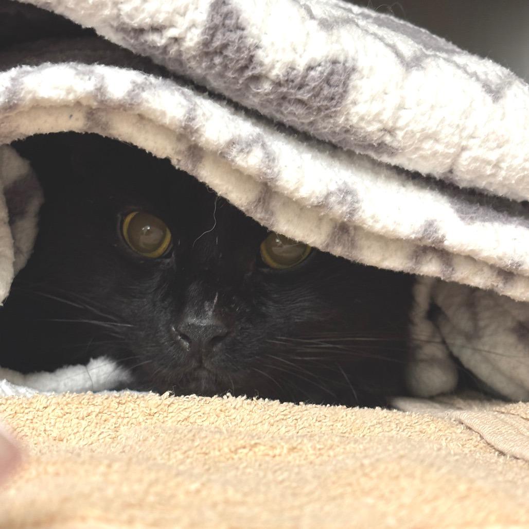 Salem