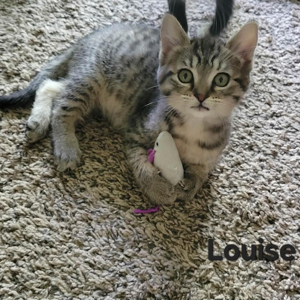 Louise