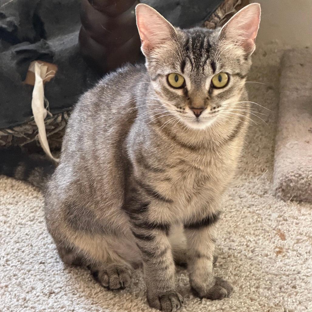 Ella