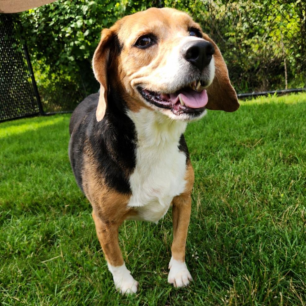 Lucy