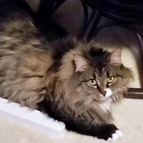 Chloe