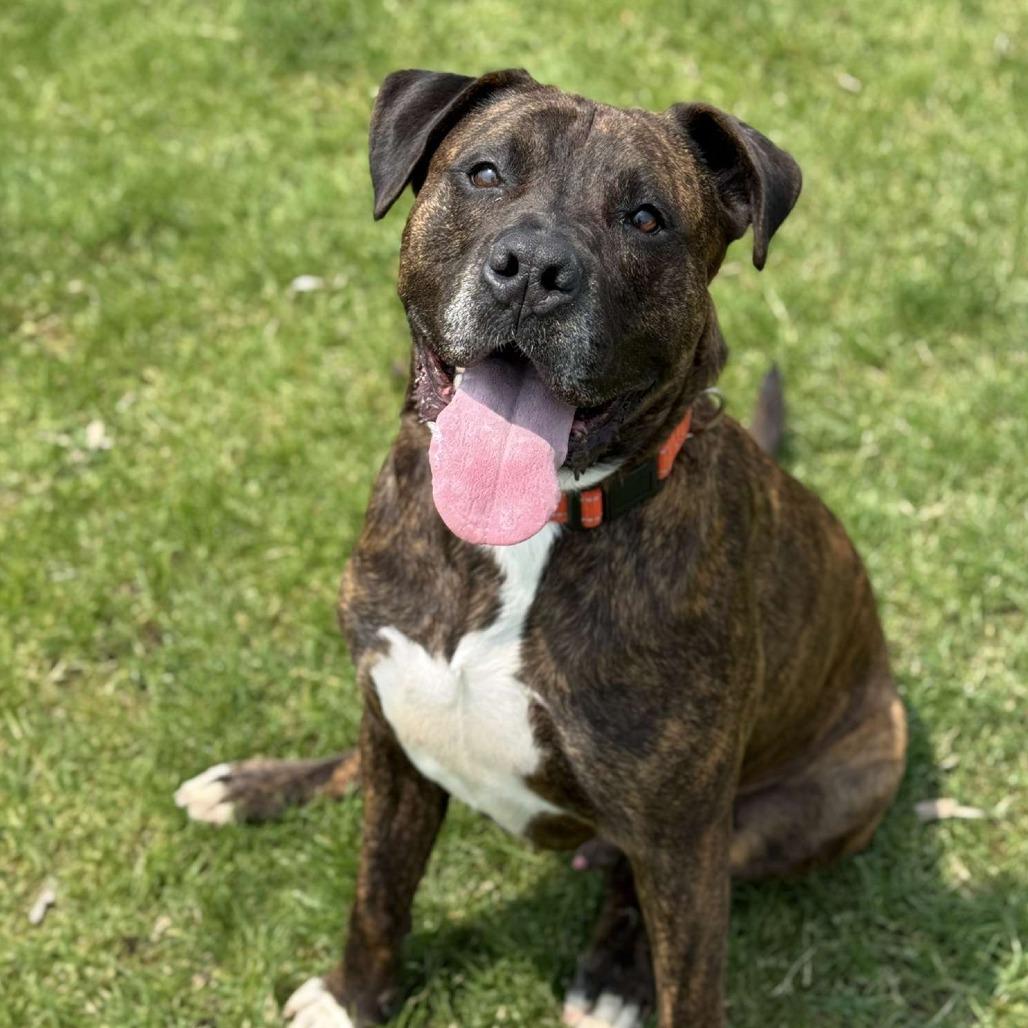 Roscoe