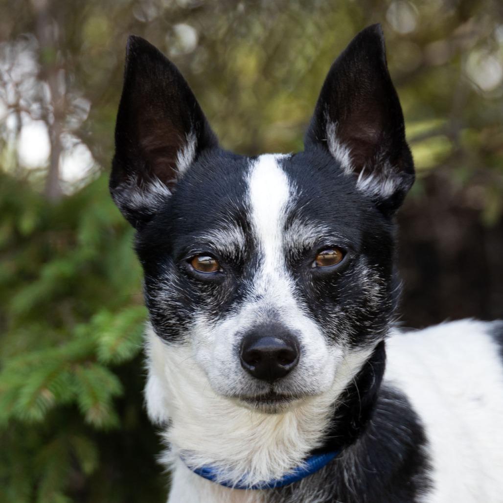 Roscoe