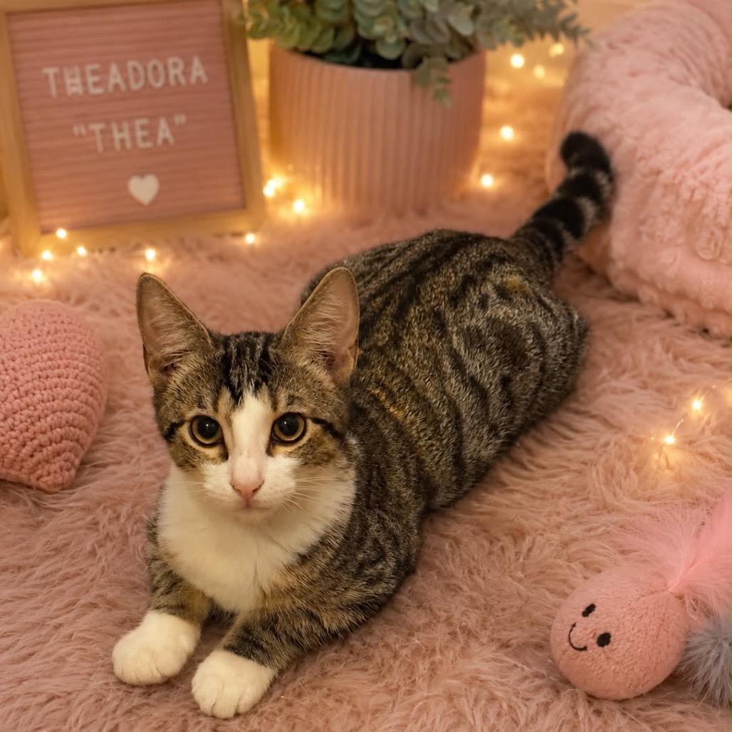 Theodora