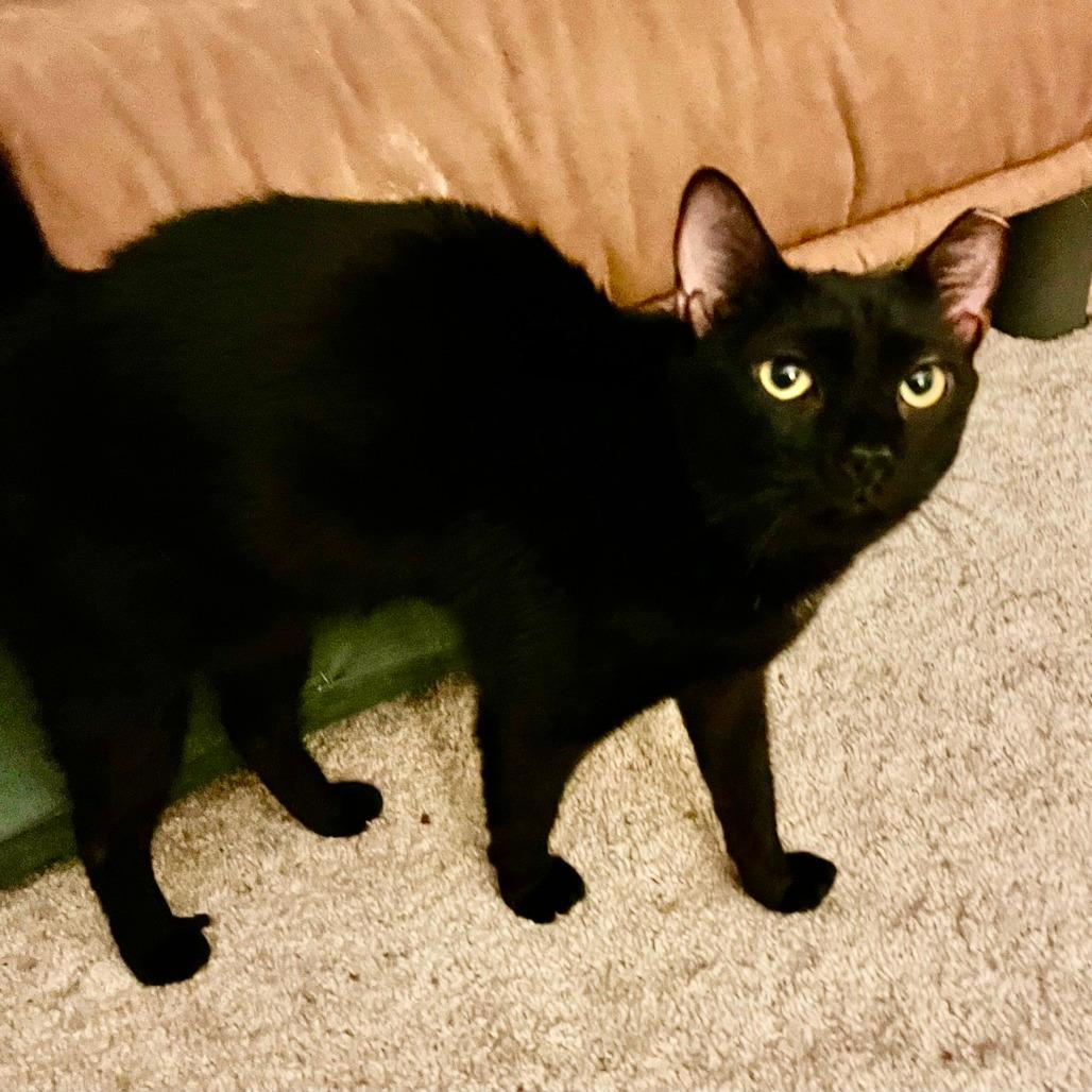Mae Mae 