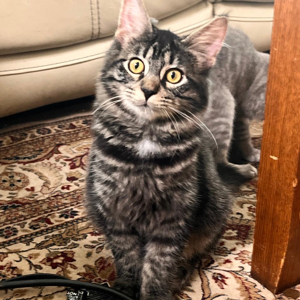 Diego