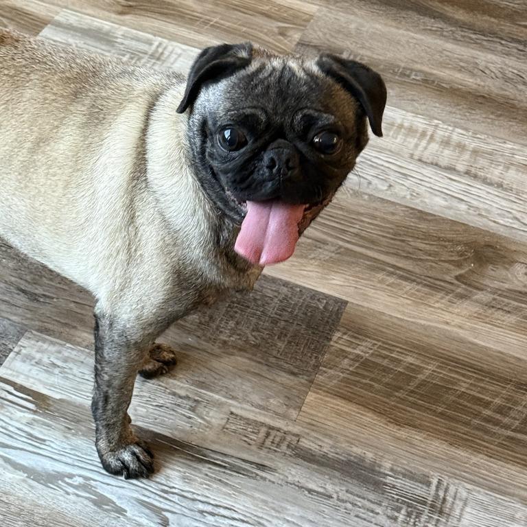 Luna